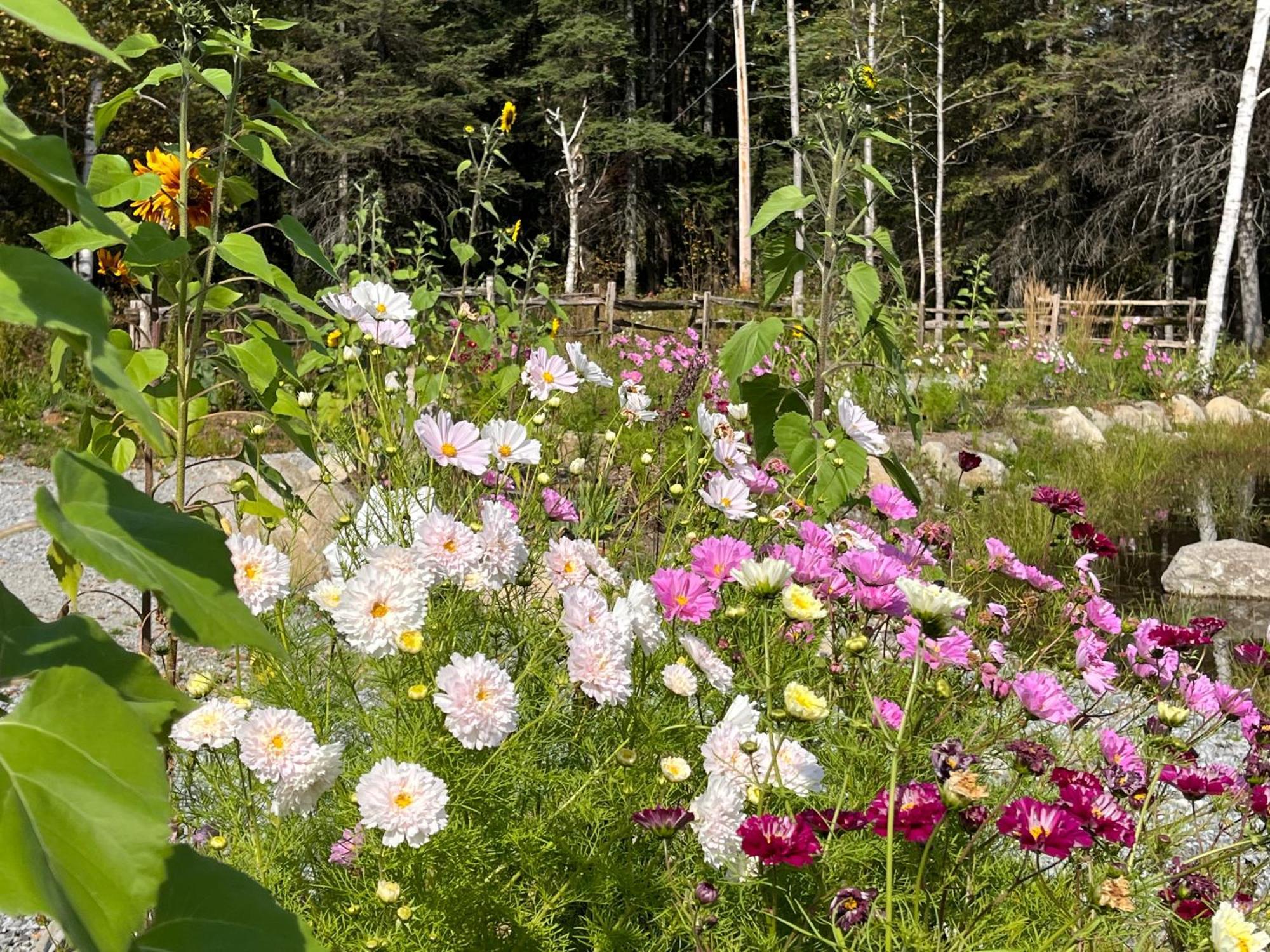 Chalet Domaine Gagnon Saint-Sébastien